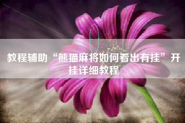 教程辅助“熊猫麻将如何看出有挂”开挂详细教程 教程辅助“熊猫麻将如何看出有挂”开挂详细教程