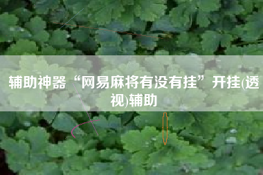 辅助神器“网易麻将有没有挂”开挂(透视)辅助