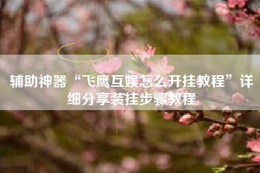 辅助神器“飞鹰互娱怎么开挂教程”详细分享装挂步骤教程