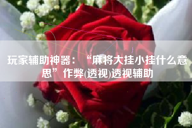 玩家辅助神器：“麻将大挂小挂什么意思”作弊(透视)透视辅助