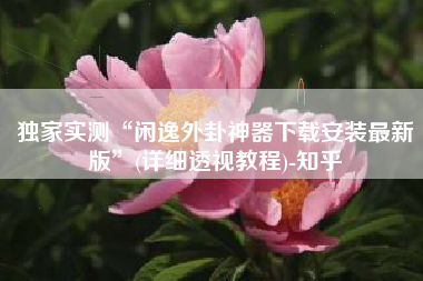 独家实测“闲逸外卦神器下载安装最新版”(详细透视教程)-知乎 独家实测“闲逸外卦神器下载安装最新版”(详细透视教程)-知乎