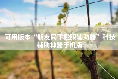 可用版本“朋友局干瞪眼辅助器”科技辅助神器手机版