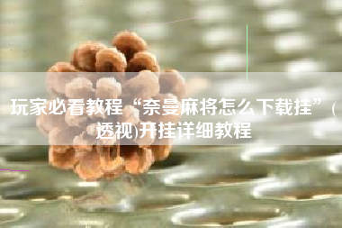 玩家必看教程“奈曼麻将怎么下载挂”(透视)开挂详细教程 玩家必看教程“奈曼麻将怎么下载挂”(透视)开挂详细教程