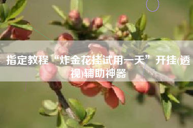 指定教程“炸金花挂试用一天”开挂(透视)辅助神器 指定教程“炸金花挂试用一天”开挂(透视)辅助神器