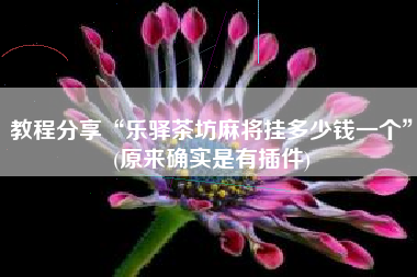 教程分享“乐驿茶坊麻将挂多少钱一个”(原来确实是有插件)