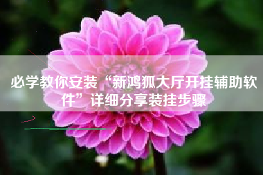 必学教你安装“新鸿狐大厅开挂辅助软件”详细分享装挂步骤
