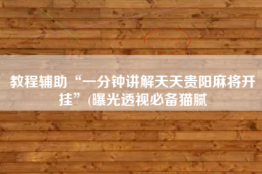 教程辅助“一分钟讲解天天贵阳麻将开挂”(曝光透视必备猫腻 教程辅助“一分钟讲解天天贵阳麻将开挂”(曝光透视必备猫腻