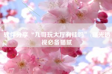 软件分享“九哥玩大厅有挂吗”(曝光透视必备猫腻