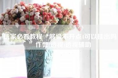 玩家必看教程“够级不开点4可以挂出吗”作弊(透视)透视辅助