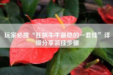 玩家必搜“狂飙牛牛最稳的一套挂”详细分享装挂步骤 玩家必搜“狂飙牛牛最稳的一套挂”详细分享装挂步骤