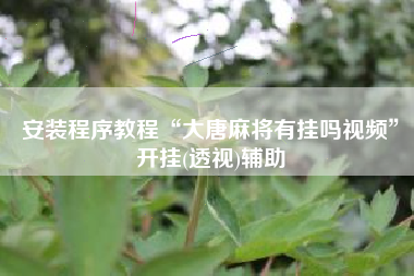 安装程序教程“大唐麻将有挂吗视频”开挂(透视)辅助 安装程序教程“大唐麻将有挂吗视频”开挂(透视)辅助