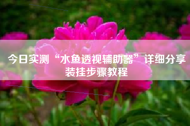 今日实测“水鱼透视辅助器”详细分享装挂步骤教程