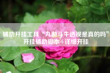 辅助开挂工具“九游斗牛透视是真的吗”开挂辅助脚本+详细开挂