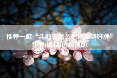 推荐一款“斗地主怎么把把拿到好牌”作弊(透视)透视辅助 推荐一款“斗地主怎么把把拿到好牌”作弊(透视)透视辅助