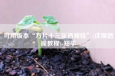 可用版本“方片十三张透视挂”(详细透视教程)-知乎