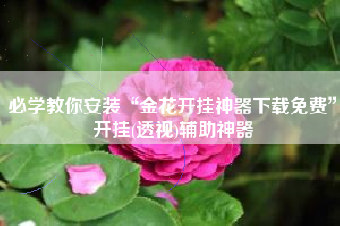 必学教你安装“金花开挂神器下载免费”开挂(透视)辅助神器