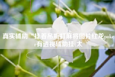 真实辅助“挂着吊瓶打麻将图片红龙poker有透视辅助挂(太