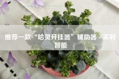 推荐一款“哈灵开挂器”辅助器 - 实时智能