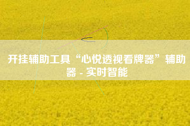 开挂辅助工具“心悦透视看牌器”辅助器 - 实时智能