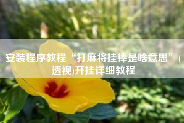 安装程序教程“打麻将挂棒是啥意思”(透视)开挂详细教程 安装程序教程“打麻将挂棒是啥意思”(透视)开挂详细教程