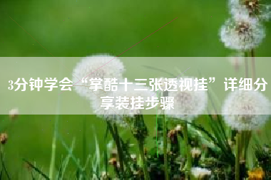 3分钟学会“掌酷十三张透视挂”详细分享装挂步骤