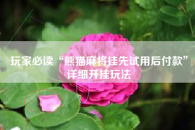 玩家必读“熊猫麻将挂先试用后付款”详细开挂玩法 玩家必读“熊猫麻将挂先试用后付款”详细开挂玩法