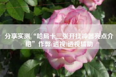 分享实测“哈局十三张开挂神器亮点介绍”作弊(透视)透视辅助