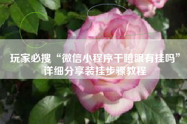 玩家必搜“微信小程序干瞪眼有挂吗”详细分享装挂步骤教程