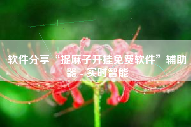 软件分享“捉麻子开挂免费软件”辅助器 - 实时智能