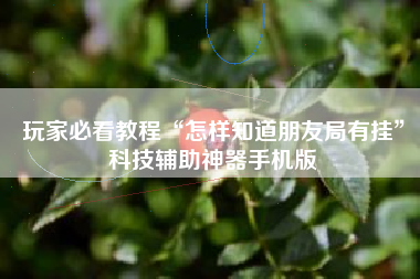 玩家必看教程“怎样知道朋友局有挂”科技辅助神器手机版
