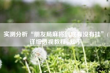 实测分析“朋友局麻将到底有没有挂”(详细透视教程)-知乎