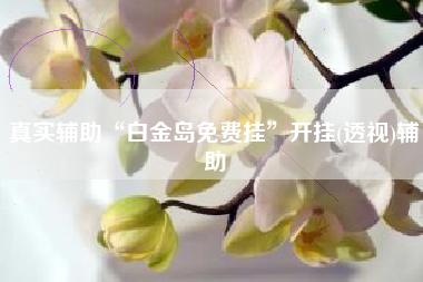 真实辅助“白金岛免费挂”开挂(透视)辅助