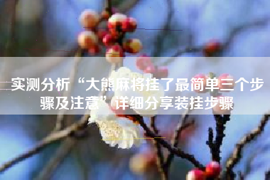 实测分析“大熊麻将挂了最简单三个步骤及注意”详细分享装挂步骤