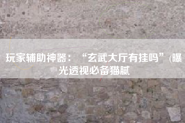 玩家辅助神器：“玄武大厅有挂吗”(曝光透视必备猫腻