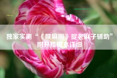 独家实测“《陕麻圈》捉老麻子辅助”附开挂脚本详细