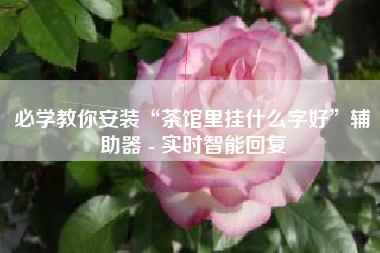 必学教你安装“茶馆里挂什么字好”辅助器 - 实时智能回复