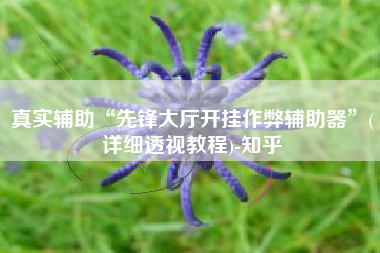 真实辅助“先锋大厅开挂作弊辅助器”(详细透视教程)-知乎 真实辅助“先锋大厅开挂作弊辅助器”(详细透视教程)-知乎