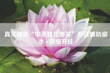 真实辅助“中至挂在哪买”开挂辅助脚本+详细开挂