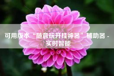 可用版本“随意玩开挂神器”辅助器 - 实时智能