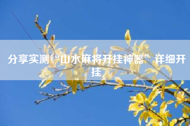 分享实测“山水麻将开挂神器”详细开挂