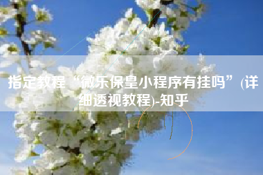 指定教程“微乐保皇小程序有挂吗”(详细透视教程)-知乎