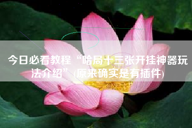 今日必看教程“哈局十三张开挂神器玩法介绍”(原来确实是有插件)