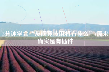 3分钟学会“友间竞技麻将有挂么”(原来确实是有插件