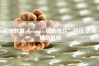 实操教程“wepoker辅助插件”开挂(透视)辅助教程 实操教程“wepoker辅助插件”开挂(透视)辅助教程