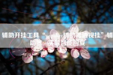 辅助开挂工具“wepoker辅助器透视挂”辅助器 - 实时智能回复