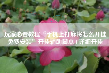 玩家必看教程“手机上打麻将怎么开挂免费安装”开挂辅助脚本+详细开挂