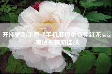 开挂辅助工具“手机麻将免费挂红龙poker有透视辅助挂(太