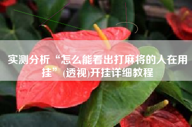 实测分析“怎么能看出打麻将的人在用挂”(透视)开挂详细教程 实测分析“怎么能看出打麻将的人在用挂”(透视)开挂详细教程