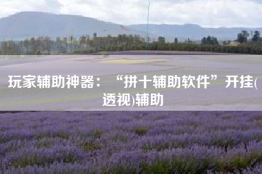 玩家辅助神器:“拼十辅助软件”开挂(透视)辅助 玩家辅助神器:“拼十辅助软件”开挂(透视)辅助