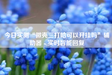 今日实测“微壳三打哈可以开挂吗”辅助器 - 实时智能回复